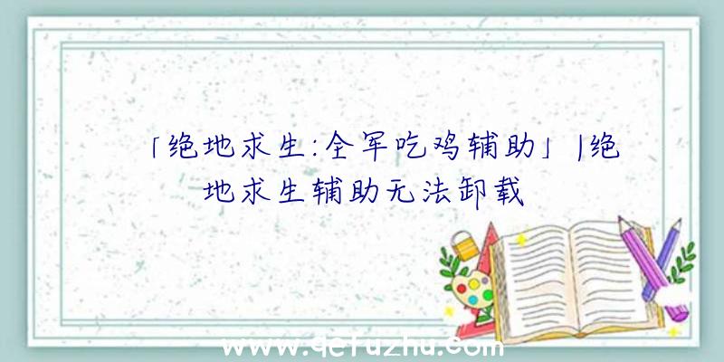 「绝地求生:全军吃鸡辅助」|绝地求生辅助无法卸载